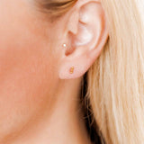 Screwback Stud Earrings - Tally - Gold