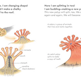 Tiny Floating Coral Book (Start Small, Think Big #3)