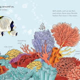 Tiny Floating Coral Book (Start Small, Think Big #3)