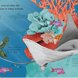 Tiny Floating Coral Book (Start Small, Think Big #3)