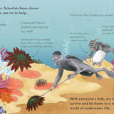 Tiny Floating Coral Book (Start Small, Think Big #3)