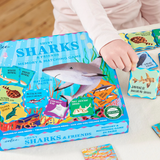 Sharks & Friends Shiny Memory & Matching Game