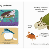 Touch And Explore Book - The Ocean