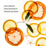 Citrus Grove Power Mist Hydrating Hand Sanitizer