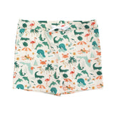 Explore Florida Boys Swim Trunks: Beige/Multi
