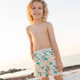 Explore Florida Boys Swim Trunks: Beige/Multi