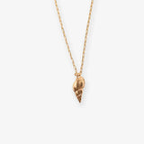 Marina Spiral Shell - Brass Necklace by Ink & Alloy