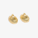 Pearl - Cockle Shell Post Earrings by Ink & Alloy