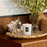 Classic Candle Boxed - Tahitian Coconut Vanilla 9 oz