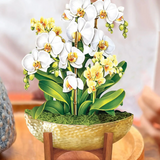 Serenity Orchid Floral Bouquet - Mini Pop Up Greeting Card