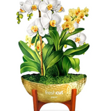 Serenity Orchid Floral Bouquet - Mini Pop Up Greeting Card