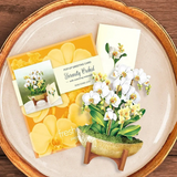 Serenity Orchid Floral Bouquet - Mini Pop Up Greeting Card