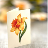 English Daffodil Floral Bouquet - Mini Pop Up Greeting Card