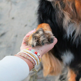 Pura Vida -  Dog Mom Stretch Bracelet