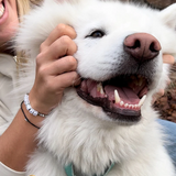 Pura Vida -  Dog Mom Stretch Bracelet