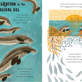5 Minute Ocean Stories  Book