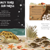 5 Minute Ocean Stories  Book