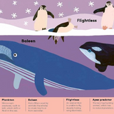 Animal Words for Little Zoologists:100 Interesting Words! Book