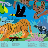 Animal Words for Little Zoologists:100 Interesting Words! Book