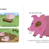 Touch And Explore Book - The Farm