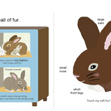 Touch And Explore Book - The Farm