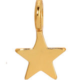 Charm Garden - Gold - Lucky Feather