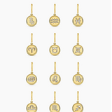 Zodiac Parker Charm Leo