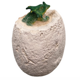 Dino Dig Excavation Kit