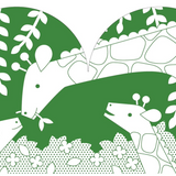 Coloring Book with Stickers  - Wild World