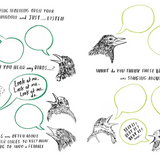Hello Nature - Activity Book