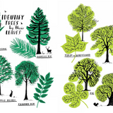 Hello Nature - Activity Book