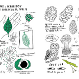 Hello Nature - Activity Book