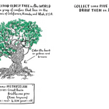 Hello Nature - Activity Book