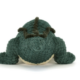 Alexi Alligator