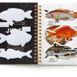 Judgy Fish Sticker Book