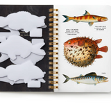 Judgy Fish Sticker Book