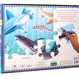 Love of Sharks 100 Pc Puzzle