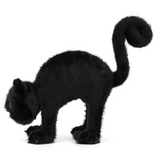 Spookipaws Cat