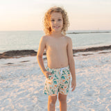 Explore Florida Boys Swim Trunks: Beige/Multi