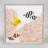 Coral 2 Light  Multi Fish Mini Framed 5x7 Canvas