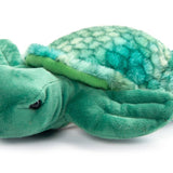 8" (22cm) Scoopz Sea Turtle
