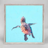 Swimming Baby Turtle 1- 6x6 Canvas Wall Art